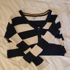 American Eagle Outfitters Navy and White Cropped Sweater